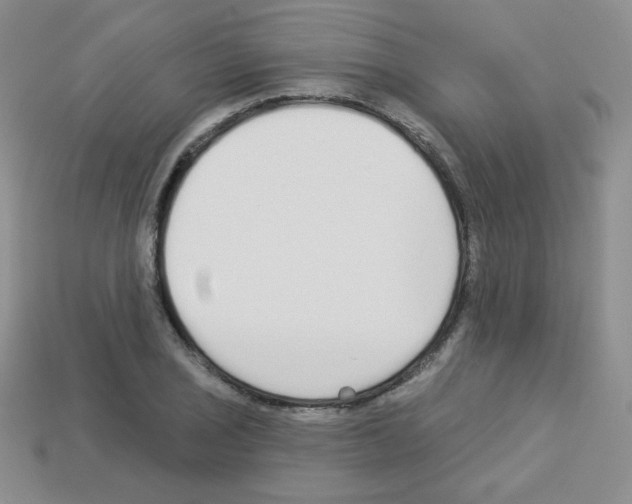 X0000112961029200910081041