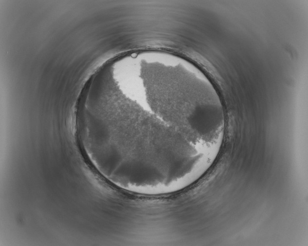 X0000112961031200910081041