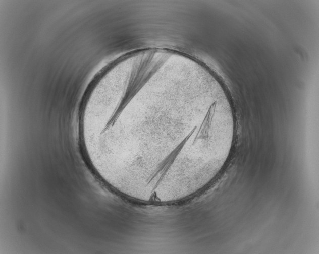 X0000112961032200910081041