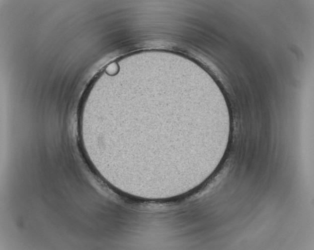 X0000112961034200910081041