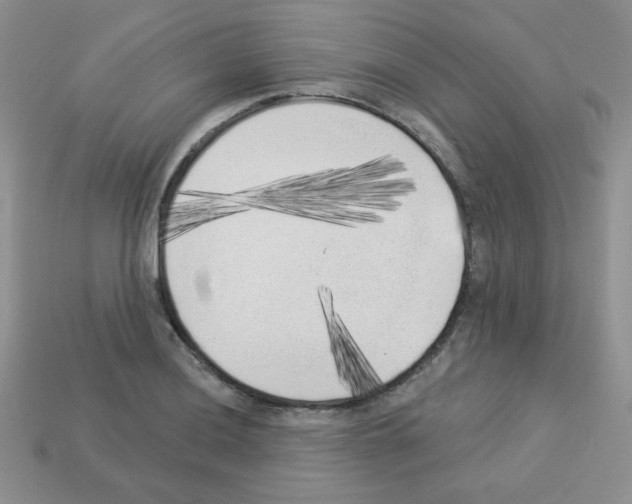 X0000112961036200910081041