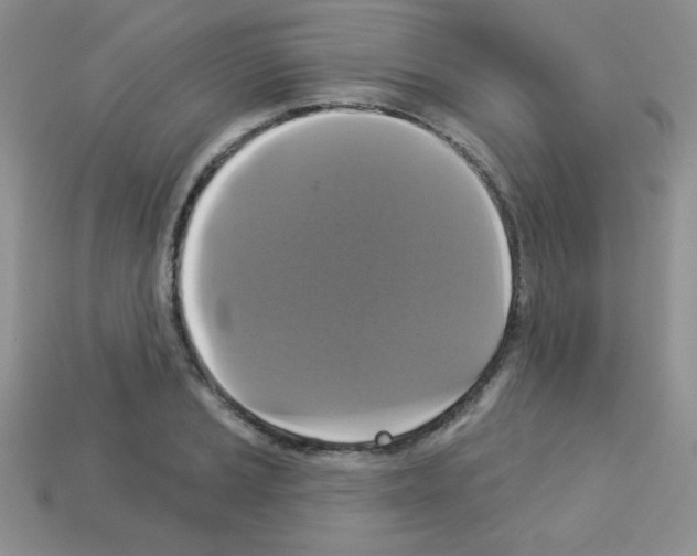 X0000112961037200910081041