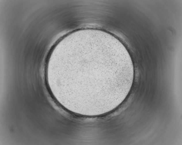 X0000112961038200910081041