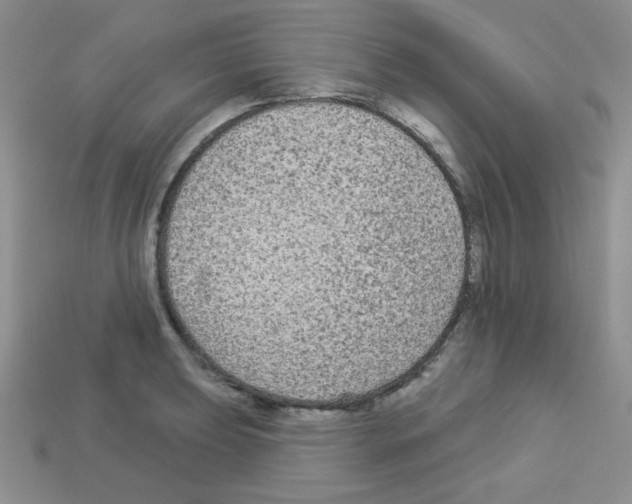 X0000112961039200910081041