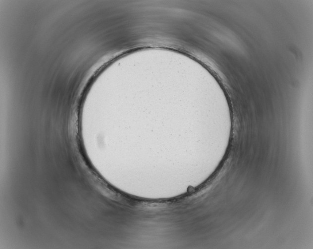 X0000112961040200910081041