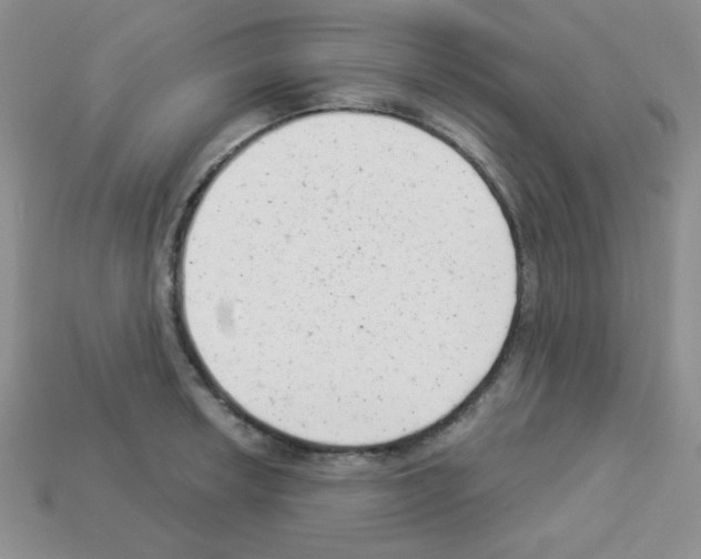 X0000112961042200910081041