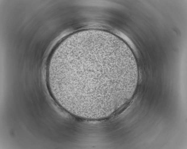 X0000112961043200910081041