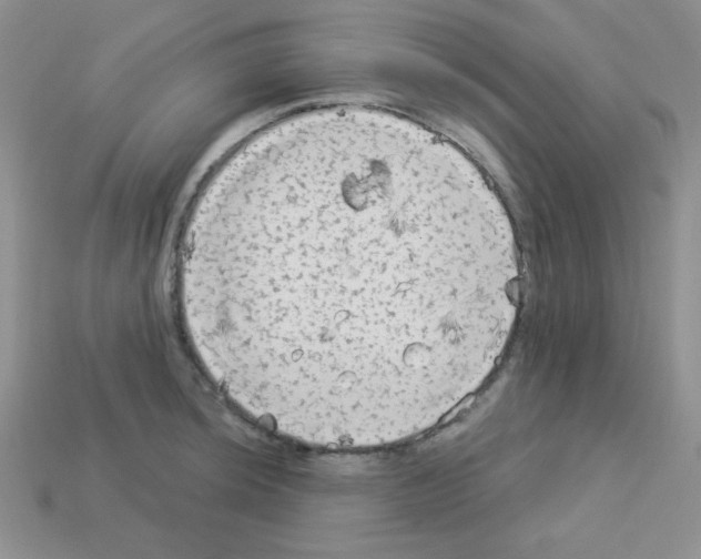 X0000112961044200910081041