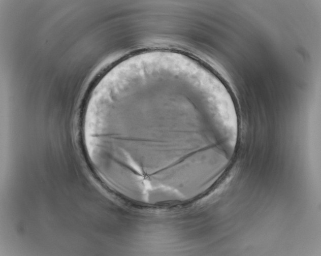 X0000112961045200910081041