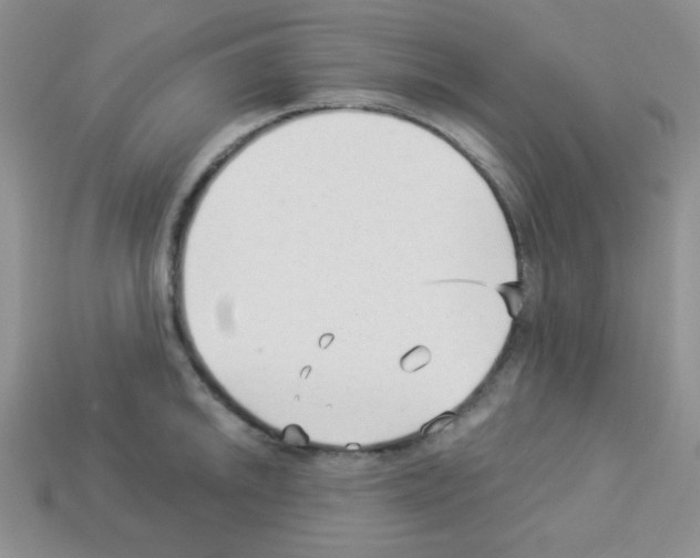 X0000112961046200910081041