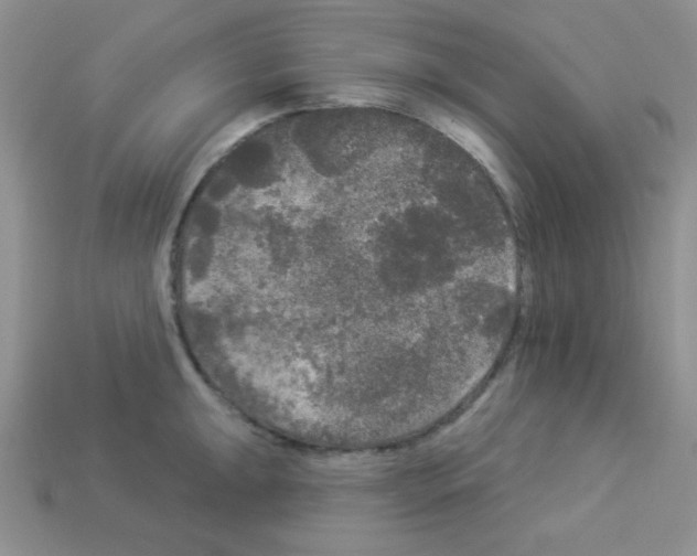 X0000112961047200910081041