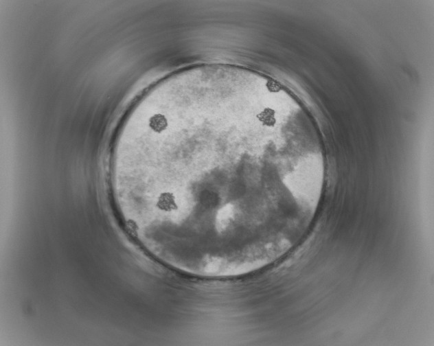 X0000112961048200910081041