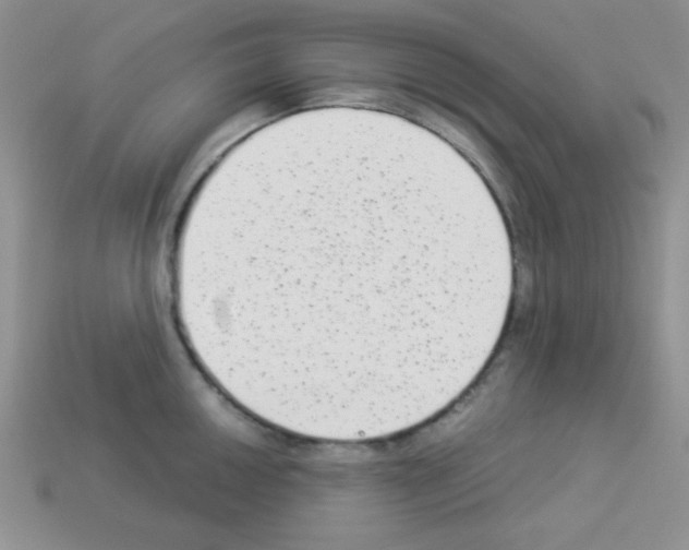 X0000112961050200910081041