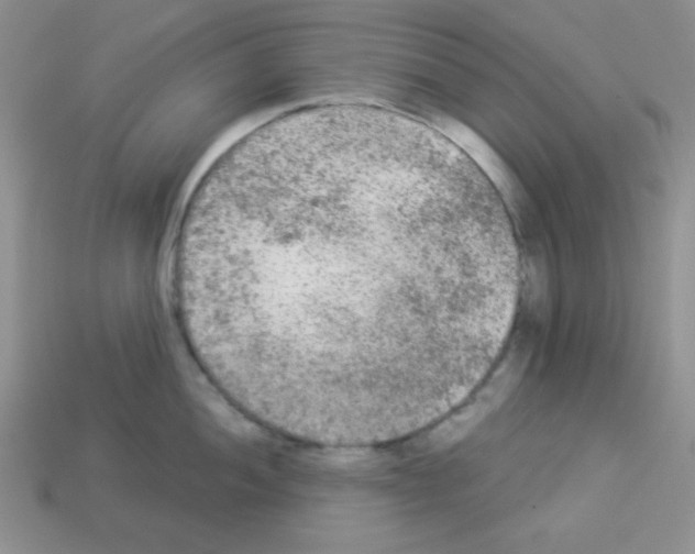 X0000112961052200910081042