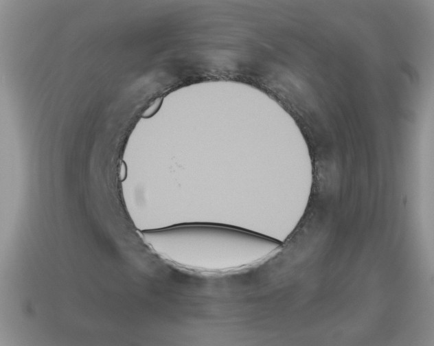 X0000112961057200910081041