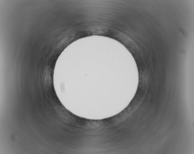 X0000112961058200910081041