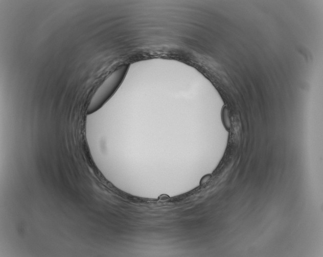 X0000112961060200910081041