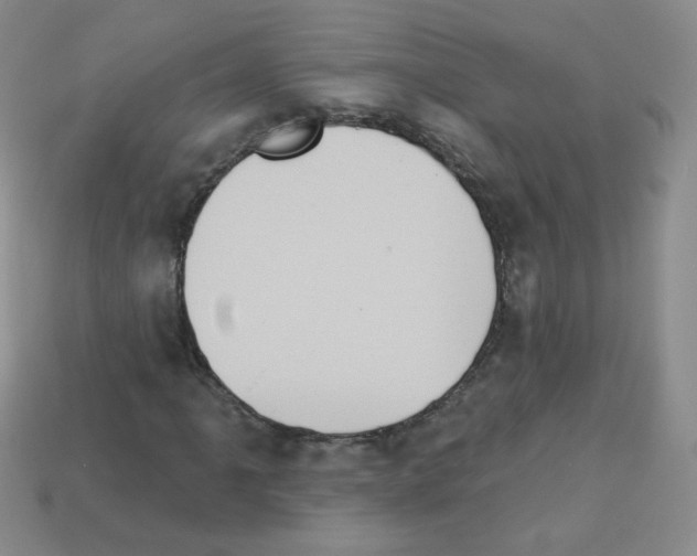 X0000112961061200910081041