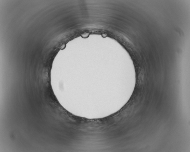 X0000112961062200910081041