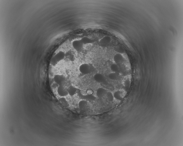 X0000112961063200910081041