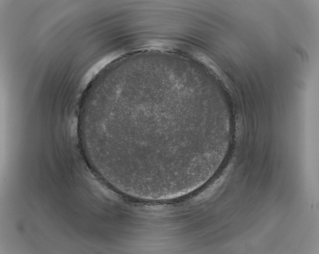 X0000112961066200910081041