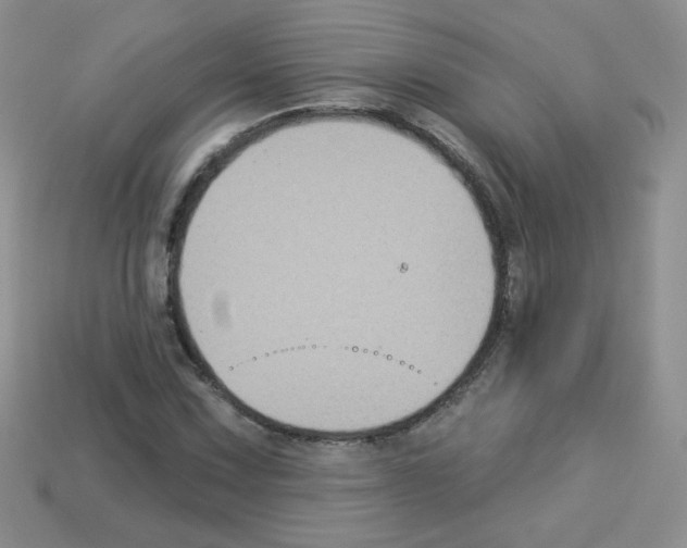 X0000112961067200910081041