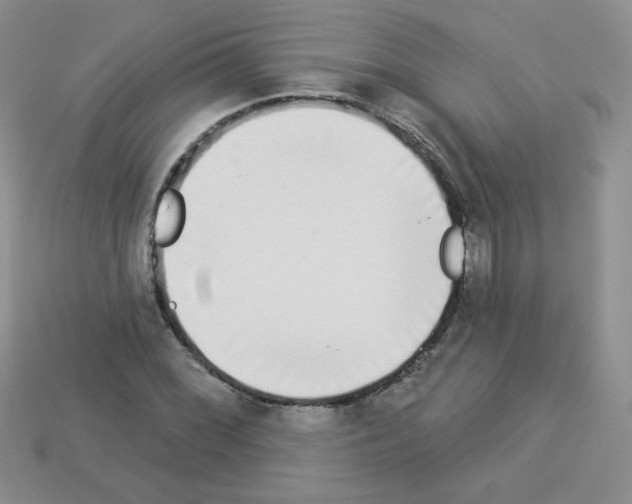 X0000112961068200910081041