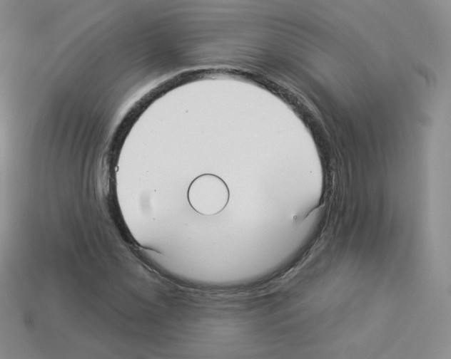 X0000112961069200910081041