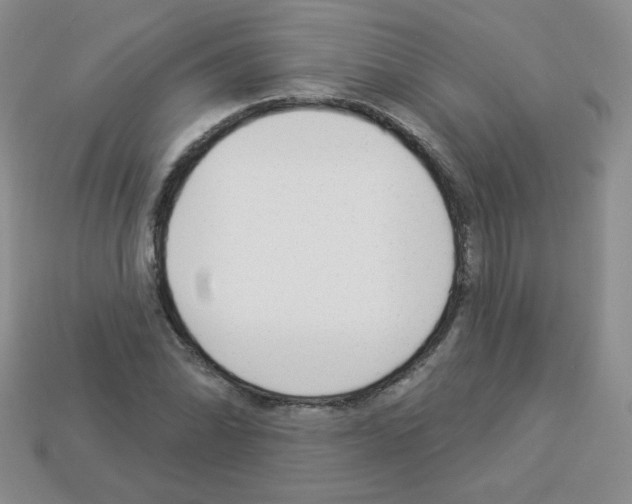 X0000112961070200910081041