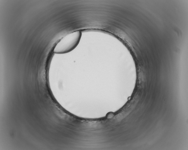 X0000112961072200910081041