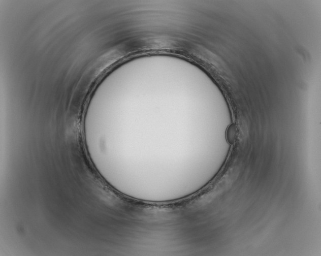 X0000112961073200910081041