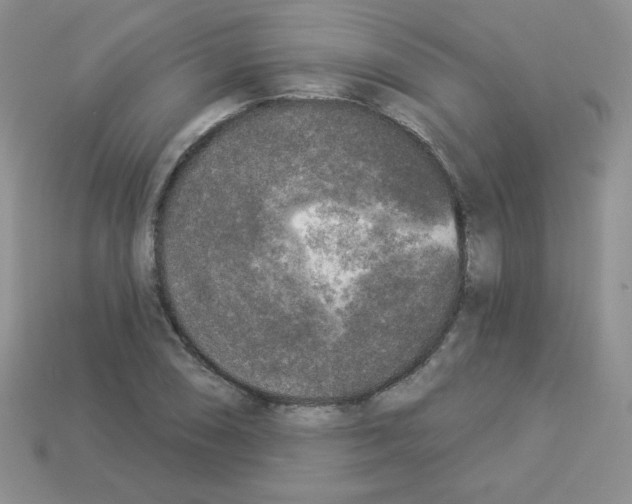 X0000112961074200910081041