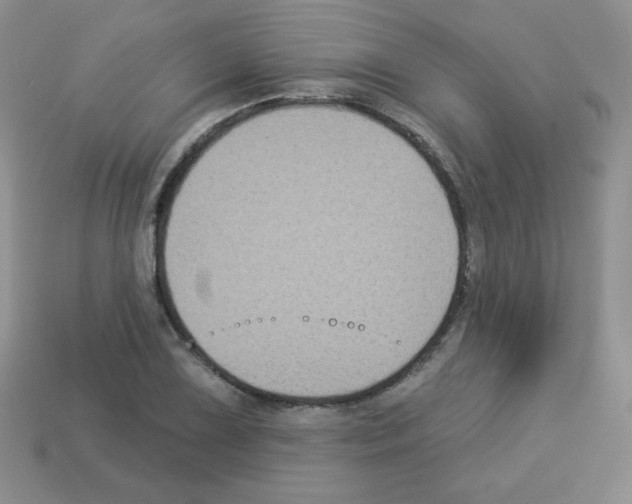 X0000112961075200910081041