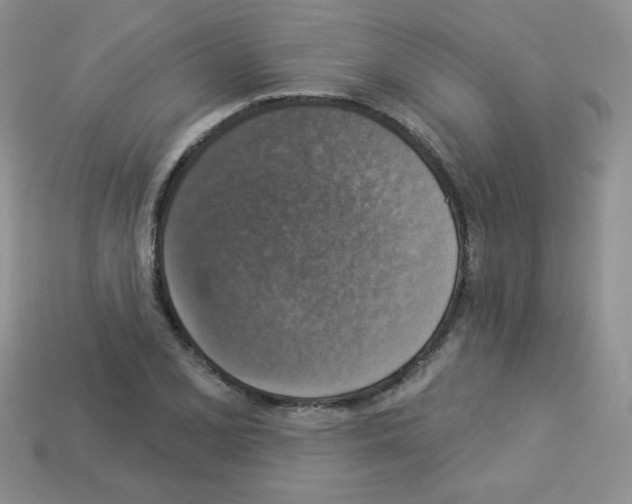 X0000112961077200910081041