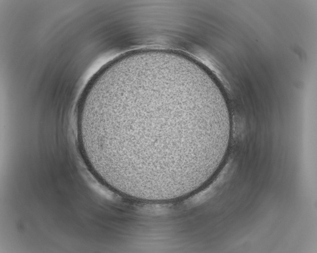 X0000112961078200910081041