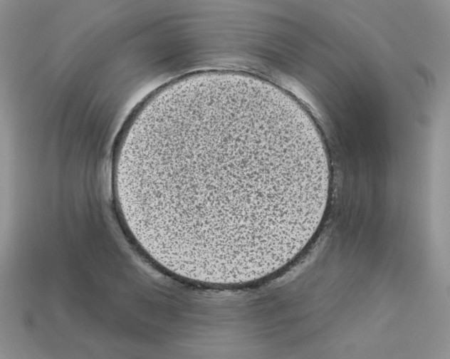 X0000112961079200910081041