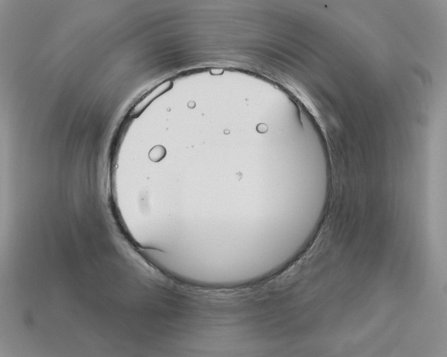 X0000112961080200910081041