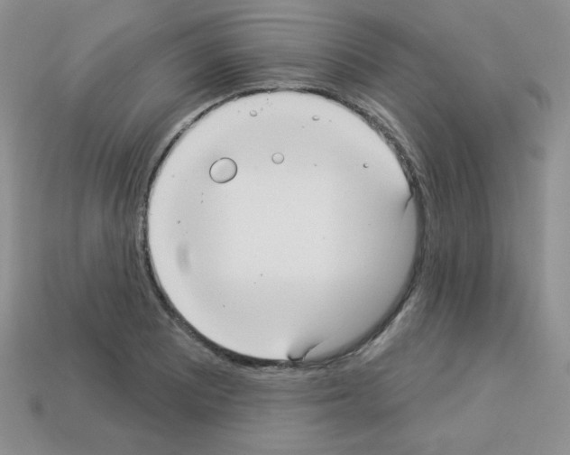 X0000112961081200910081041