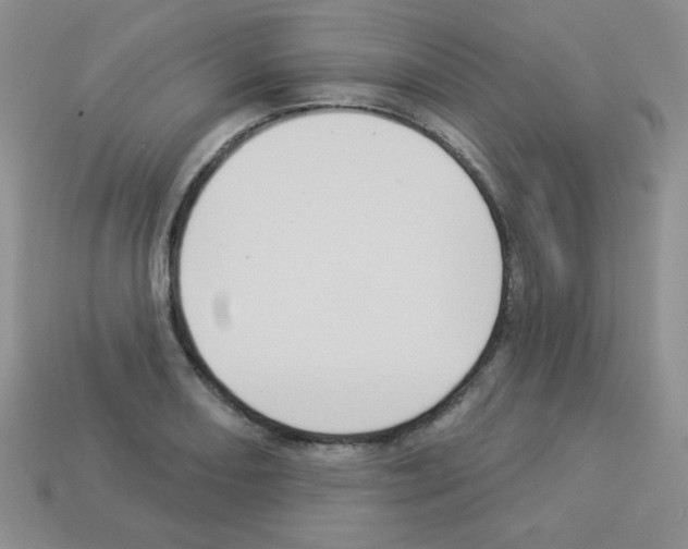 X0000112961082200910081041