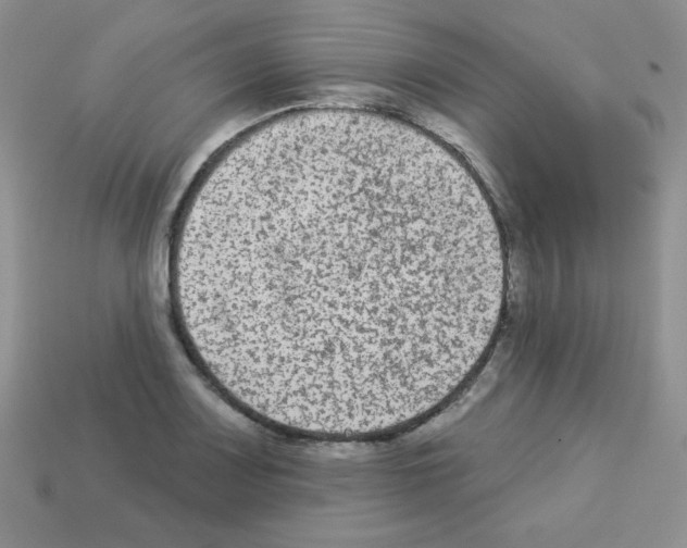 X0000112961083200910081041