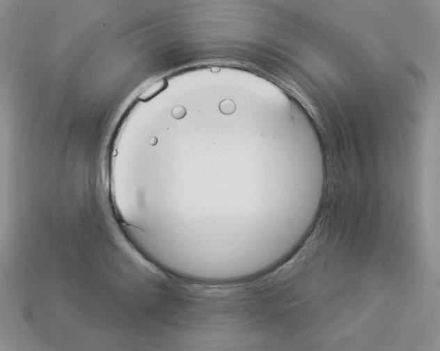 X0000112961084200910081041