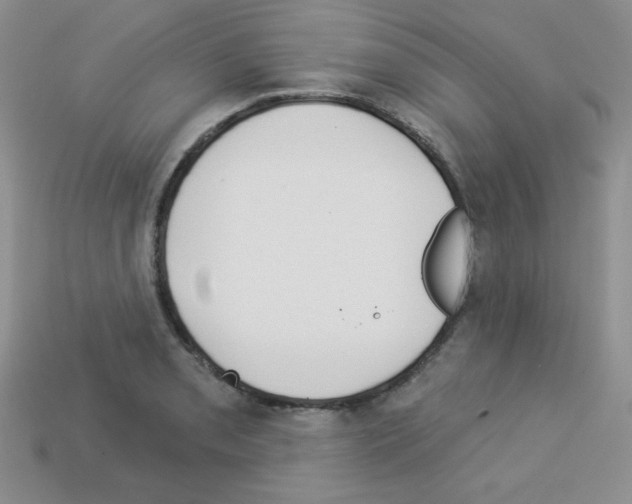 X0000112961085200910081041