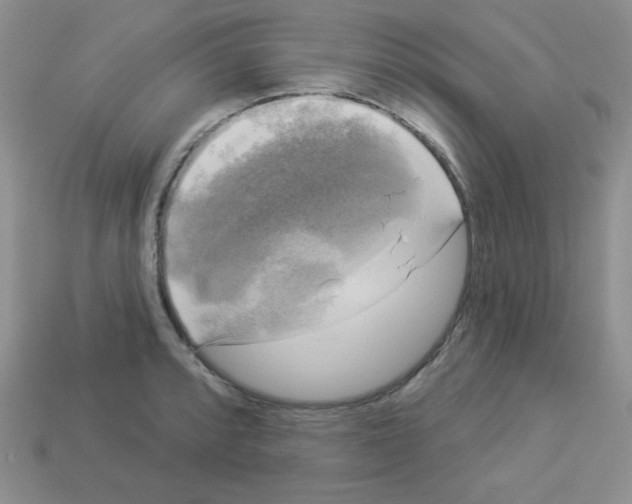 X0000112961088200910081041