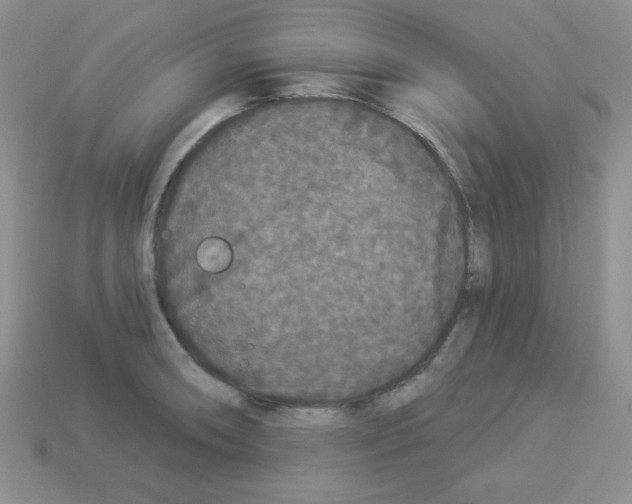 X0000112961090200910081041