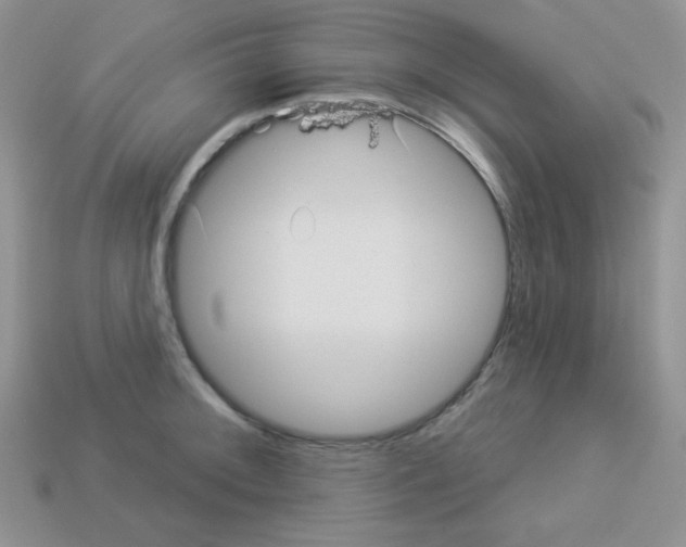 X0000112961092200910081041