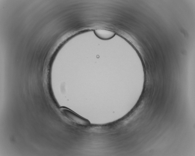 X0000112961093200910081040