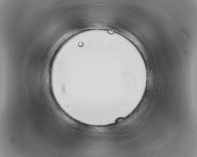 X0000112961096200910081040