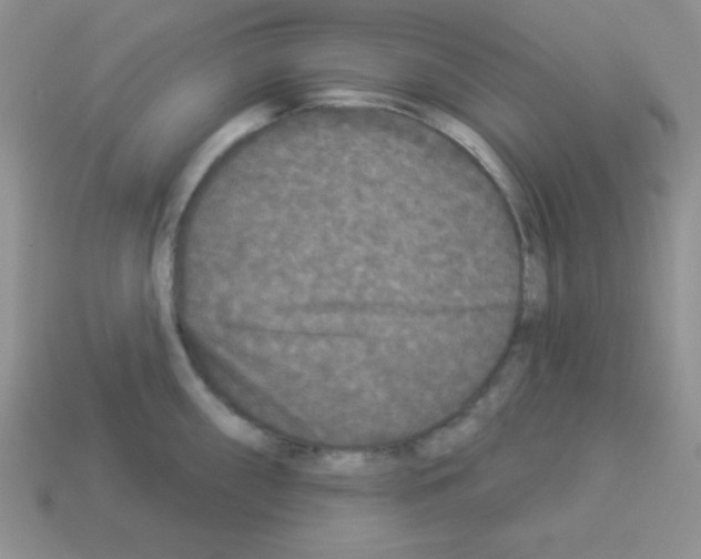 X0000112961098200910081040