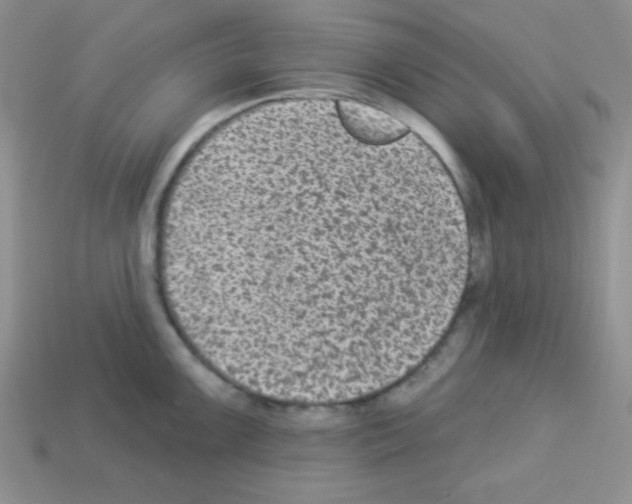 X0000112961099200910081040