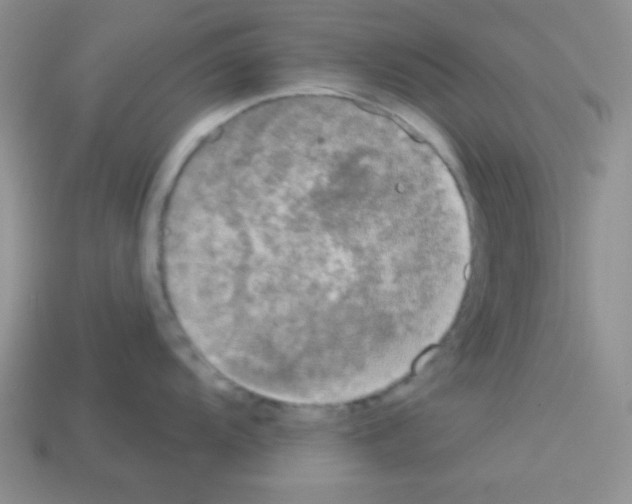 X0000112961104200910081040